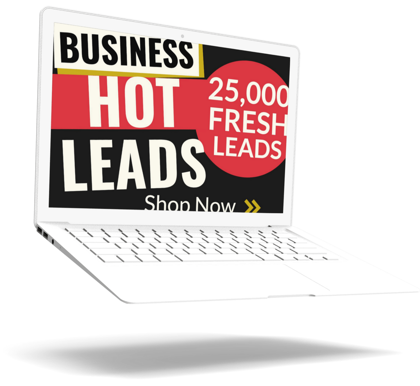 25,000 LEADS - FRESH, ACTIVE  & VERIFIED MONEY MAKING BUSINESS LEADS